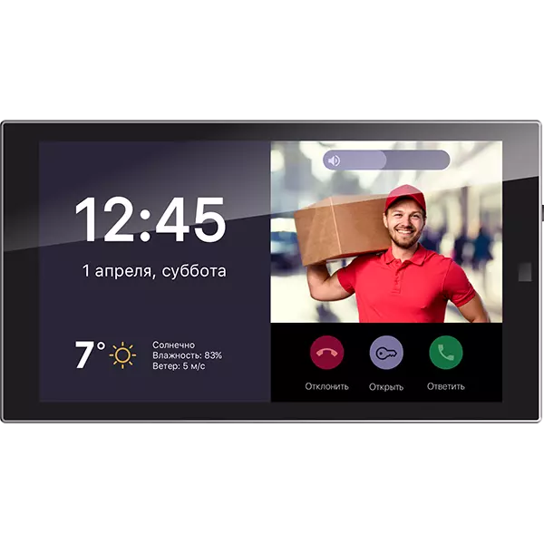Панель настенная 6 дюймов (Touch Panel P6)